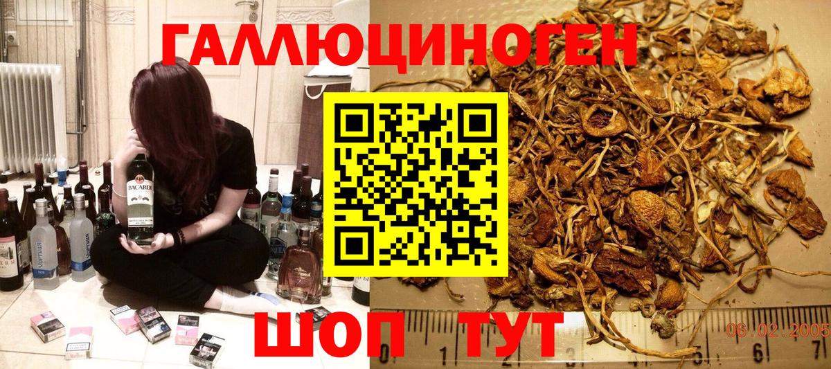 Псилоцибиновые грибы MAGIC MUSHROOMS Куйбышев