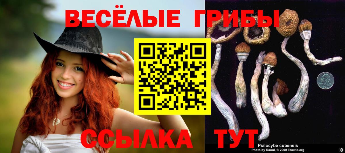 Куйбышев  Псилоцибиновые грибы Psilocybe  Вход с VPN  Псилоцибиновые грибы Cubensis 